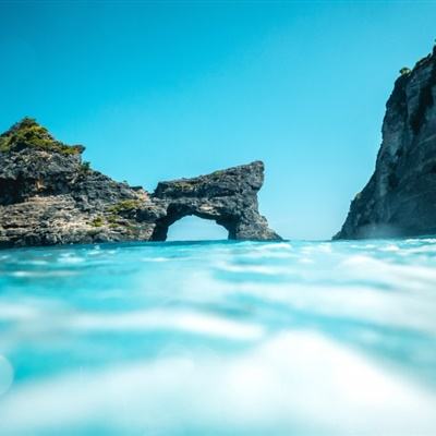 青海都兰阿拉克湖国家湿地公园现黑颈鹤