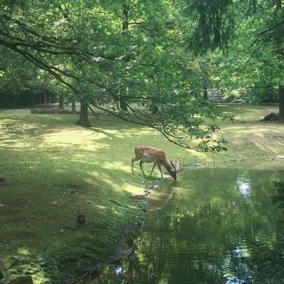 永辉超市：创始人张轩松股权比例不变 胖东来会持续帮扶调整