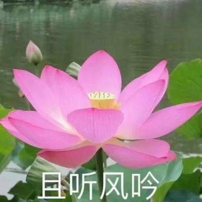 宗馥莉接任后首次参加娃哈哈职代会：“今年干股分红不会取消，但取决于岗位绩效，不会论资排辈”