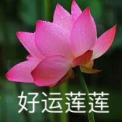 金气秋分 丹桂飘香